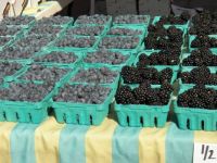 Berries in blue and black