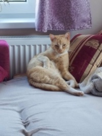 Kuba