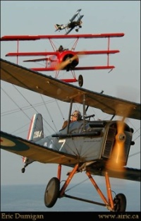 DogFight