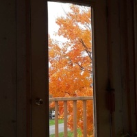 Fall - 7