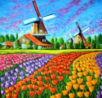 Netherlands Tulip Season