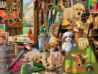 PUPPY WORKSHED