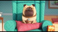 Mel the pug from "The Secret Life of Pets"
