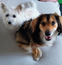 Princess Frida & Fudge.