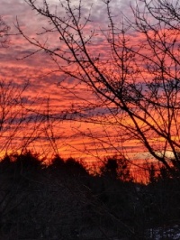 Today's sunrise