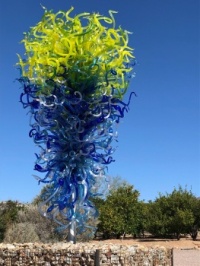Chihuly at Taliesin West