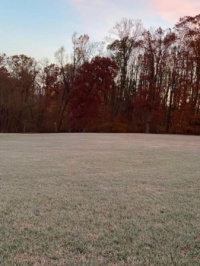 Frost 11-11-23