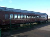 The Skunk Train