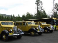 Yellowstone-1936, 1937, 1938 and 2015 Tour Buses