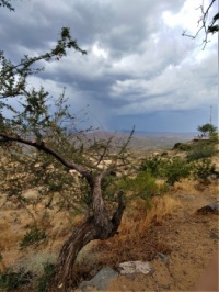 Storm at Sunset Point AZ
