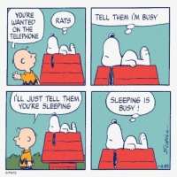 Peanuts :-)