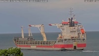 (Saltie) IJBORG (5/17/2025)