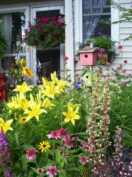 Sunny Front-Yard-Perennial-Garden