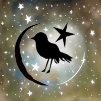 Moon, Bird, Stars