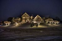 holiday season