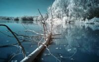 Frozen Scenery