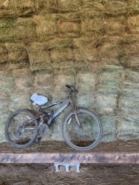 Hay with bike