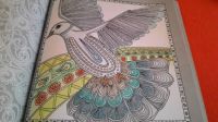 coloring book-holub