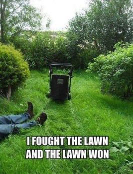 That darn lawn...