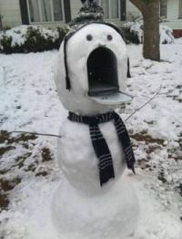 Snow Mailbox