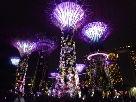 Laser show ,Gardens by the bay ,Singapore