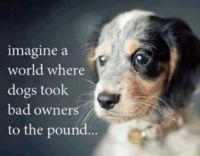 Imagine a world . . .