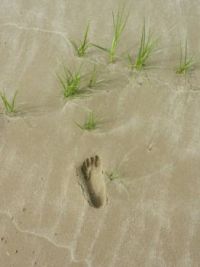 footstep in the sand