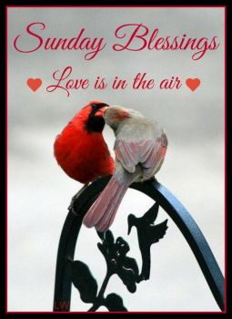 Solve Good Night Sunday Blessings Jigsaw Puzzle Online With 88