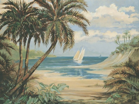 Palm Bay by Paul Brent
