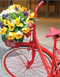 Painted red bike