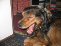 charly