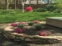 Spring Time in Richmond