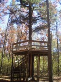 Schmeekle Treehouse