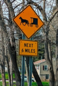 Buggies