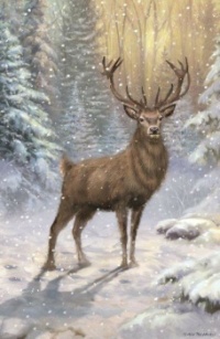 Seasonal Art - Winter - Stag in the Snow 2