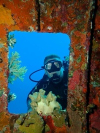 Wreck in the Red Sea