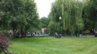 Boston Public Gardens - Swan Boat