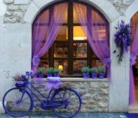 Purple Bicycle