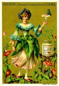 Liebig Company's Fleisch-Extract, Morning Glory, ca 1875, trade card