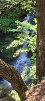Pennsylvania Waterfall 4