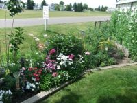 2013_Pictures0152