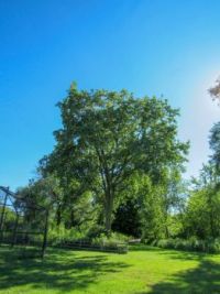 Day In The Park