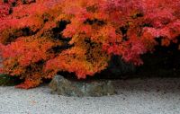 Autumn color, Nanzenji, Kyoto
