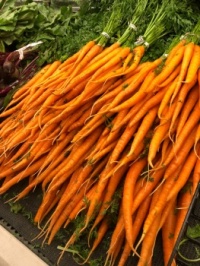 Carrots for sale!