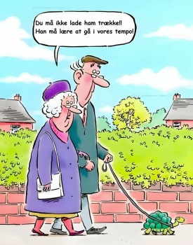 Solve Dont let him pull....... :-) jigsaw puzzle online with 20 pieces