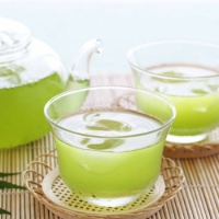 煎茶 綠茶 : Japanese SenCha Iced Green Tea