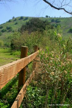 Fence at Carbon Canyon Regional Park