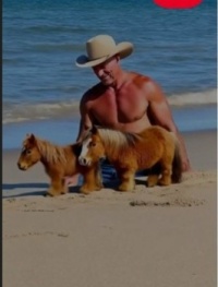 Mechanized "miniature" horses