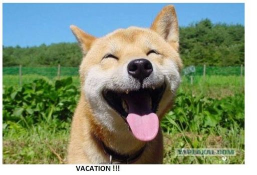 Yea! Vacation