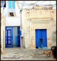 Just another caturday, Tunisia